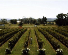 Rochford Wines - Foster Accommodation 0