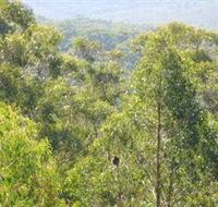 Bunyip State Park - Foster Accommodation