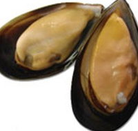 Sea Bounty - Foster Accommodation