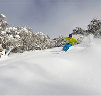 Mt Buller and Mt Stirling Alpine Resort - Foster Accommodation