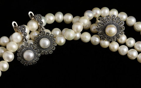 The Maharani Collection - Foster Accommodation 2