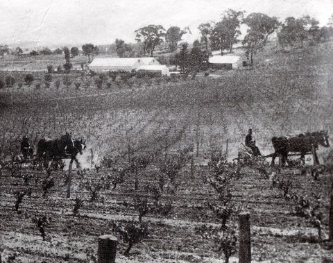 Stanton And Killeen Wines - Foster Accommodation 10