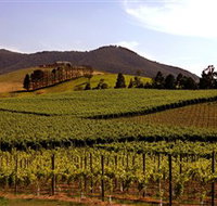 Soumah of Yarra Valley - Foster Accommodation