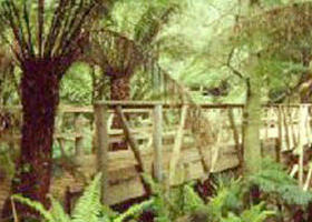 Mount Worth State Park - Foster Accommodation 0