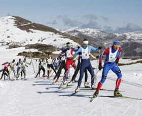 Falls Creek Alpine Resort - Foster Accommodation 0