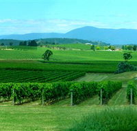 Acacia Ridge Vineyard - Foster Accommodation