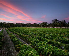 Amherst Winery - Foster Accommodation 0