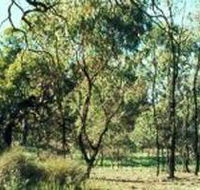 Leaghur State Park - Foster Accommodation