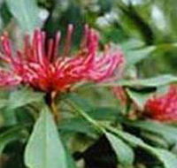 Alfred National Park - Foster Accommodation