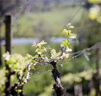 Kyneton Ridge Estate - Foster Accommodation