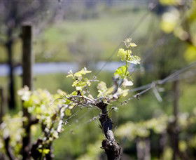 Kyneton Ridge Estate - Foster Accommodation 0