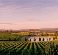 Oakridge Wines - Foster Accommodation