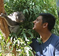 Healesville Sanctuary - Foster Accommodation