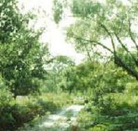 Holey Plains State Park - Foster Accommodation