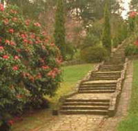 Maroondah Reservoir Park - Foster Accommodation