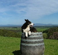 Windy Ridge Vineyard and Winery - Foster Accommodation
