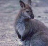 Churchill National Park - Foster Accommodation
