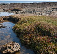 Ricketts Point Marine Sanctuary - Foster Accommodation