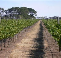 Mount Beckworth Wines - Foster Accommodation