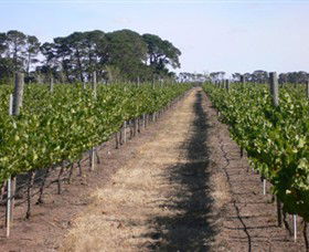 Mount Beckworth Wines - Foster Accommodation 0