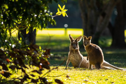 Club Catalina - Foster Accommodation 2