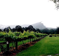 Cambewarra Estate Wines - Foster Accommodation