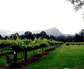 Cambewarra Estate Wines - Foster Accommodation 0