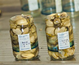  Foster Accommodation