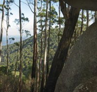 Gulaga National Park - Foster Accommodation