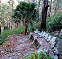Wodi Wodi Walking Track - Foster Accommodation