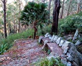 Wodi Wodi Walking Track - Foster Accommodation 0