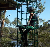 Trees Adventure Shoalhaven - Foster Accommodation
