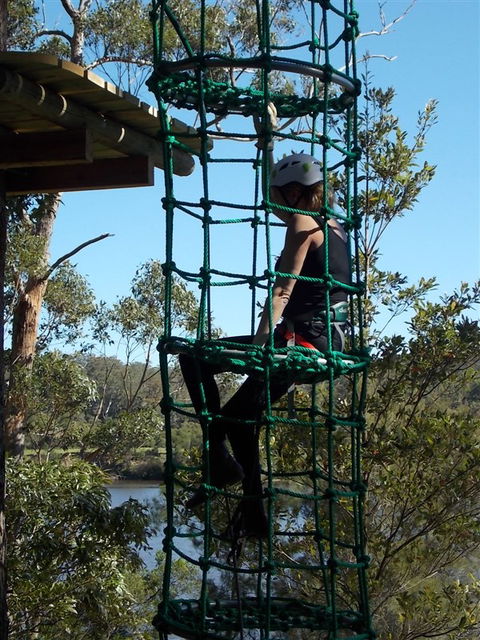Trees Adventure Shoalhaven - Foster Accommodation 0