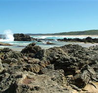Coastal Walks - Bermagui - Foster Accommodation