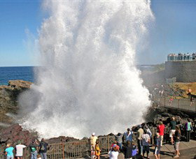 Kiama Blowhole - Foster Accommodation 0