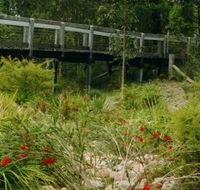 Eurobodalla Botanic Gardens - Foster Accommodation