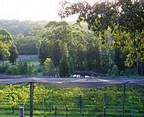 Lyrebird Ridge Organic Winery - Foster Accommodation 0