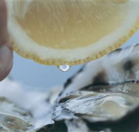 Pearly Oyster Bar and Farm - Foster Accommodation