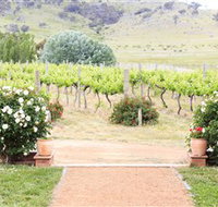 Brindabella Hills Winery - Foster Accommodation