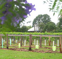 Douglas Vale Historic Homestead  Vineyard - Foster Accommodation