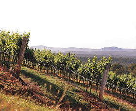 Briar Ridge Vineyard - Foster Accommodation 1