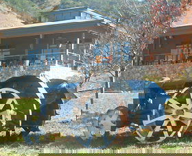 Lake George Winery - Foster Accommodation 0