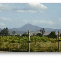 Ironbark Ridge Vineyard - Foster Accommodation