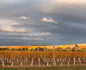 Coombe Yarra Valley - Foster Accommodation 1