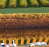 Pipers Brook Vineyard - Foster Accommodation