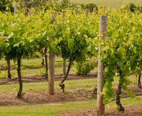 Coghills Creek VIC Foster Accommodation