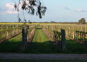 Bridgewater North VIC Foster Accommodation