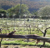 Three Willows Vineyard - Foster Accommodation