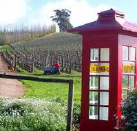 Dalrymple Vineyards - Foster Accommodation