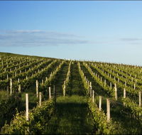 Delamere Vineyard - Foster Accommodation